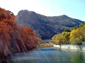 天天彩好彩天天免费，八里钢材市场